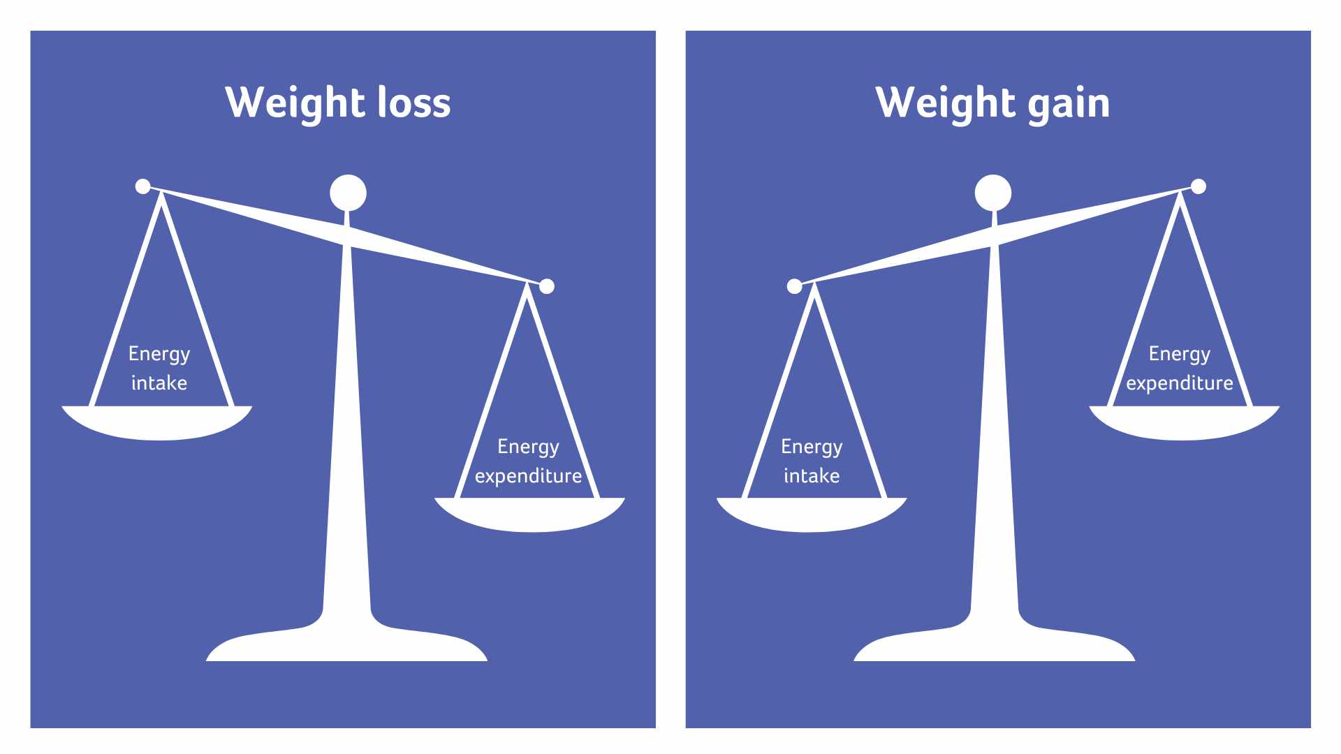 A set of scales with energy expenditure more than energy intake showing weight loss, next to a set of scales with energy intake more than energy expenditure showing weight gain